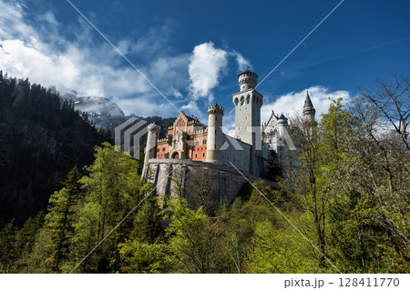 Neuschwanstein Castle in the Bavarian Alps in Germany Neuschwanstein Castle in the Bavarian Alps in Germany 128411770
