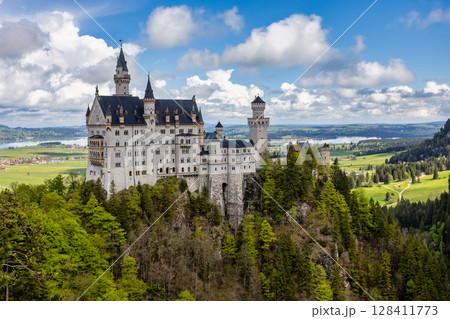 Neuschwanstein Castle in the Bavarian Alps in Germany 128411773