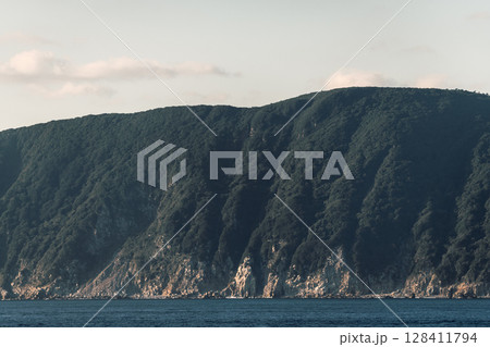 【東京九州フェリーはまゆう新門司行　高知県沖の島沖を航行】 128411794