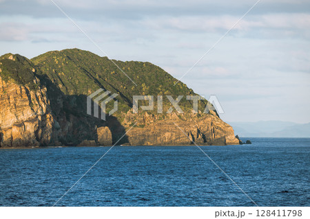【東京九州フェリーはまゆう新門司行　高知県沖を航行　姫島】 128411798
