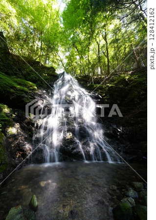滝のある風景　奈良県御杖村　不動の滝 128412162