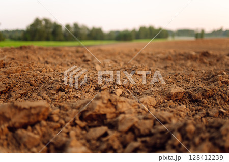 Black earth for plant background. Close-up of black soil prepared before sowing plants. 128412239