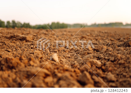 Black earth for plant background. Close-up of black soil prepared before sowing plants. 128412243