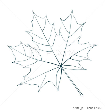 Hand-drawn linear maple leaf isolated on white background. Line style vector illustration. Hand-drawn linear maple leaf isolated on white background. Line style vector illustration. 128412369