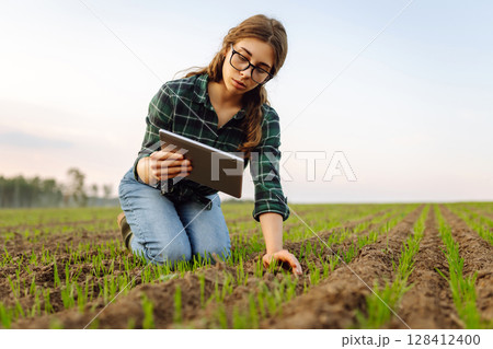 A woman agronomist examines new sprouted shoots in the field using a digital tablet. A woman agronomist examines new sprouted shoots in the field using a digital tablet. 128412400