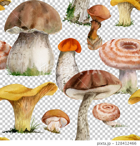 Golden chanterelle girolle, russula webcap birch bolete suillus slippery jack mushrooms. Fungi nature seamless pattern tile hand drawn in watercolor. Linens tablecloth gift wrapping paper, backgrounds 128412466