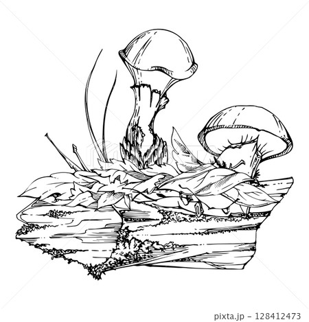 Suillus larch bolete slippery jack mushroom fungus, on bark with moss lichen growth, fallen autumn leaves twigs needles. Hand drawn vector ink Illustration. Autumn forest floor habitat natural scene 128412473