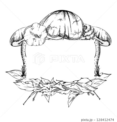 Bolete cep mushroom on top of autumn leaves pile with twigs. Fungi forest harvest, edible raw ingredient for vegan cooking. Copy space frame hand drawn in vector ink. Seasonal planner, menu cookbook 128412474