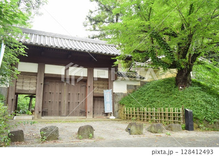 群馬　初夏の館林城跡 128412493