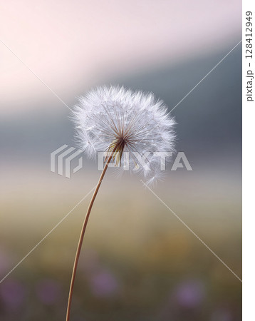 Dreamy closeup of a delicate dandelion seed head against a soft, blurred background. Evokes themes of fragility, wishes, spring, and new beginnings. Ideal for inspirational designs. 128412949
