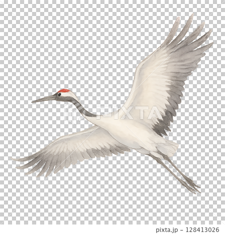 Watercolor illustration of a flying crane 128413026