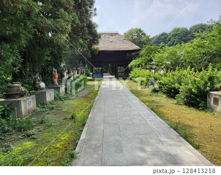 ぶんぶく茶釜の寺 参道の狸像と茅葺屋根の山門 ぶんぶく茶釜の寺 参道の狸像と茅葺屋根の山門 128413218