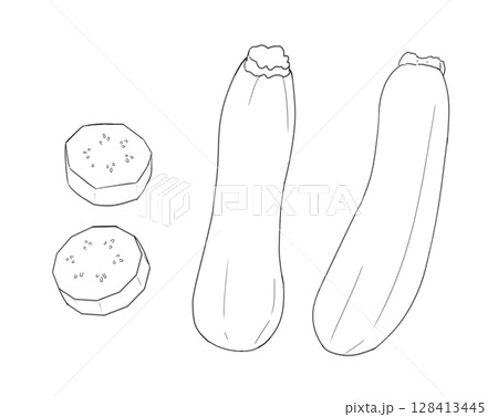 ズッキーニの線画 128413445
