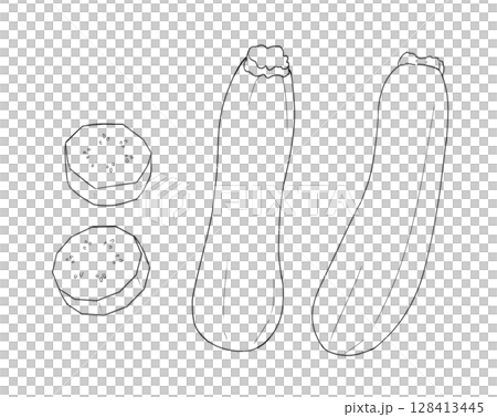 西葫蘆線描 128413445