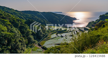 （佐賀県）浜野浦の棚田　夕景 128413486