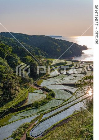 （佐賀県）浜野浦の棚田　夕景 128413490