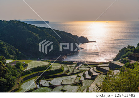 （佐賀県）浜野浦の棚田　夕景 128413492