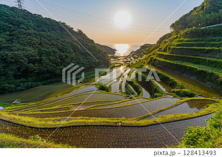 （佐賀県）浜野浦の棚田　夕景 128413493