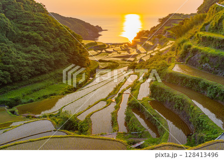 (佐賀県)浜野浦の棚田 夕景 (佐賀県)浜野浦の棚田 夕景 128413496