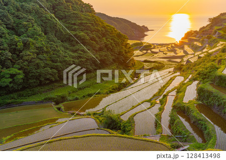 （佐賀県）浜野浦の棚田　夕景 128413498