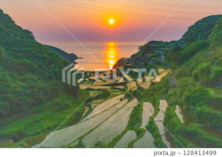 （佐賀県）浜野浦の棚田　夕景 128413499
