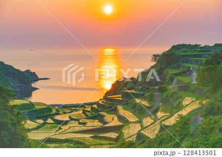 （佐賀県）浜野浦の棚田　夕景 128413501