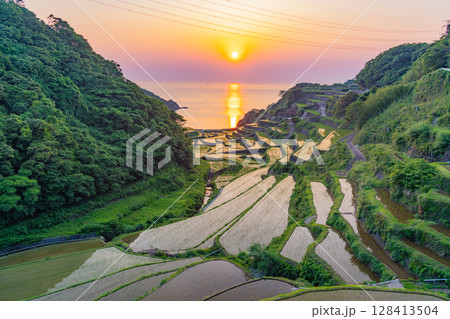 (佐賀県)浜野浦の棚田 夕景 (佐賀県)浜野浦の棚田 夕景 128413504