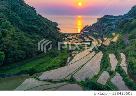 (佐賀県)浜野浦の棚田 夕景 (佐賀県)浜野浦の棚田 夕景 128413505