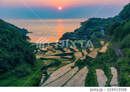 (佐賀県)浜野浦の棚田 夕景 (佐賀県)浜野浦の棚田 夕景 128413506