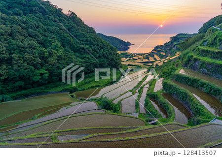 （佐賀県）浜野浦の棚田　夕景 128413507