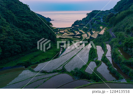 (佐賀県)浜野浦の棚田 日が落ちて (佐賀県)浜野浦の棚田 日が落ちて 128413558