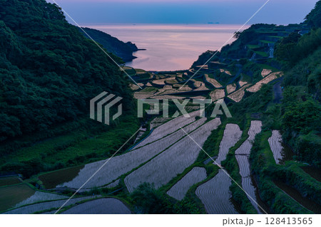 (佐賀県)浜野浦の棚田 日が落ちて (佐賀県)浜野浦の棚田 日が落ちて 128413565