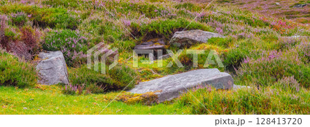 Scenic irish landscape featuring heather, grass, and rocks along the Coomloughra Horseshoe hiking trail. 128413720
