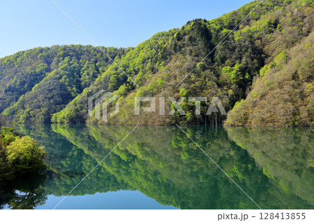 新緑の映り込む湖面	 128413855