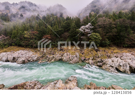 朝霧の飛騨川中山七里と山桜 朝霧の飛騨川中山七里と山桜 128413856
