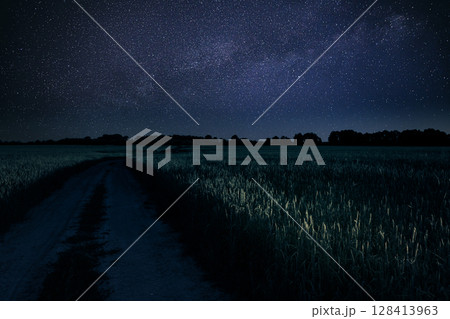 Serene Night Sky Over Green Fields with a Milky Way View 128413963