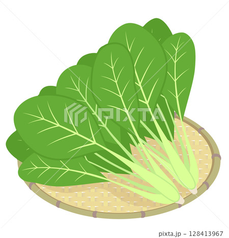 小松菜 128413967