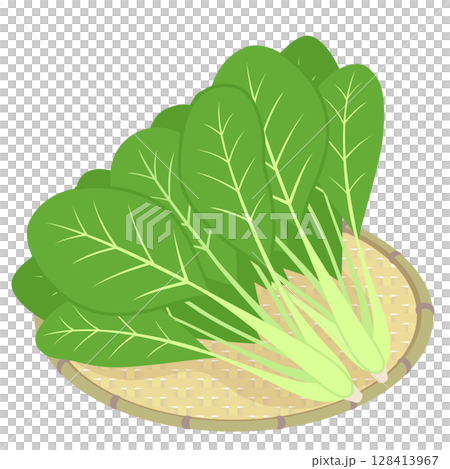 小松菜 128413967
