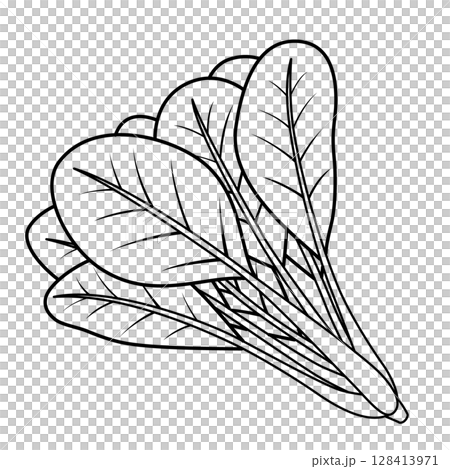 小松綱圖標 128413971