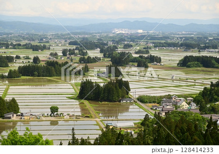 円万寺観音山から見える居久根（いぐね）のある風景 128414233