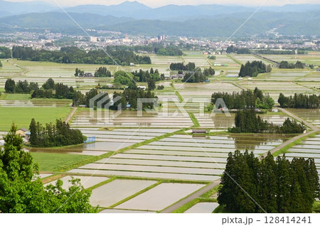 円万寺観音山から見える居久根（いぐね）のある風景 128414241