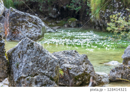 Pools of Cadini del Brenton, Dolomites, Italy 128414321