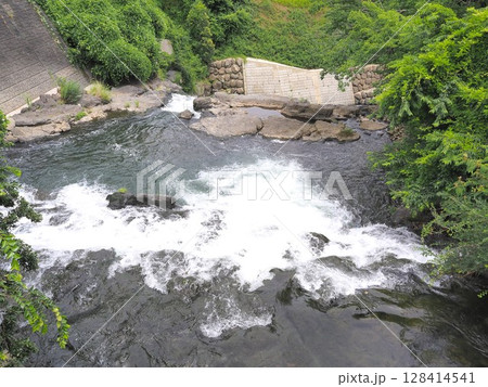 静岡県　鮎止めの滝　上流　7月 128414541
