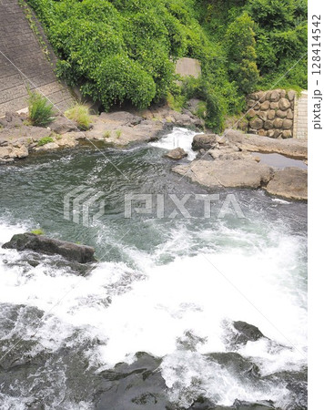 静岡県　鮎止めの滝　上流　7月 128414542