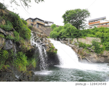 静岡県 鮎止めの滝 7月 静岡県 鮎止めの滝 7月 128414549