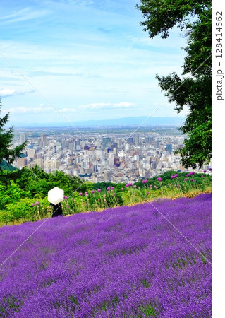 幌見峠ラベンダー園の風景(北海道札幌市中央区) 幌見峠ラベンダー園の風景(北海道札幌市中央区) 128414562