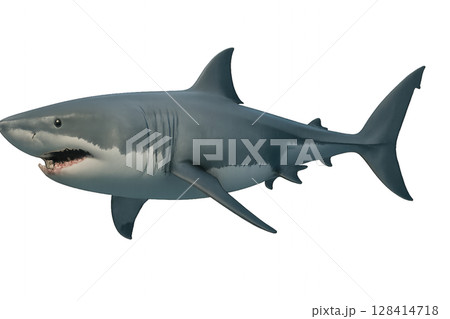 Shark Gliding Through Ocean Waters During a Bright Sunny Day 128414718