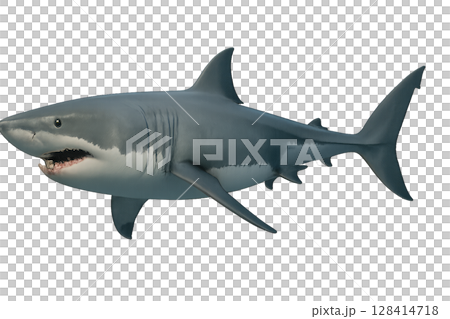 Shark Gliding Through Ocean Waters During a Bright Sunny Day 128414718