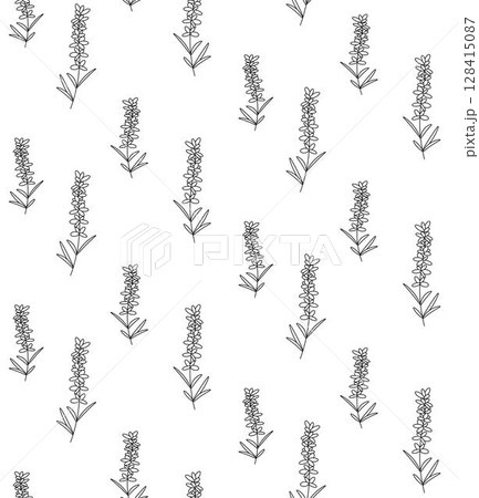 Lavender flowers seamless pattern. Vector graphic line illustration. Perfect for cards, decorations, stickers, logo, menu, various designs. For logo, web, package, sticker. 128415087