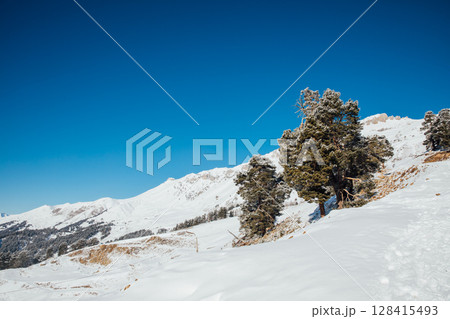 Beautiful landscape on the snowy mountains of the Caucasus Beautiful landscape on the snowy mountains of the Caucasus 128415493